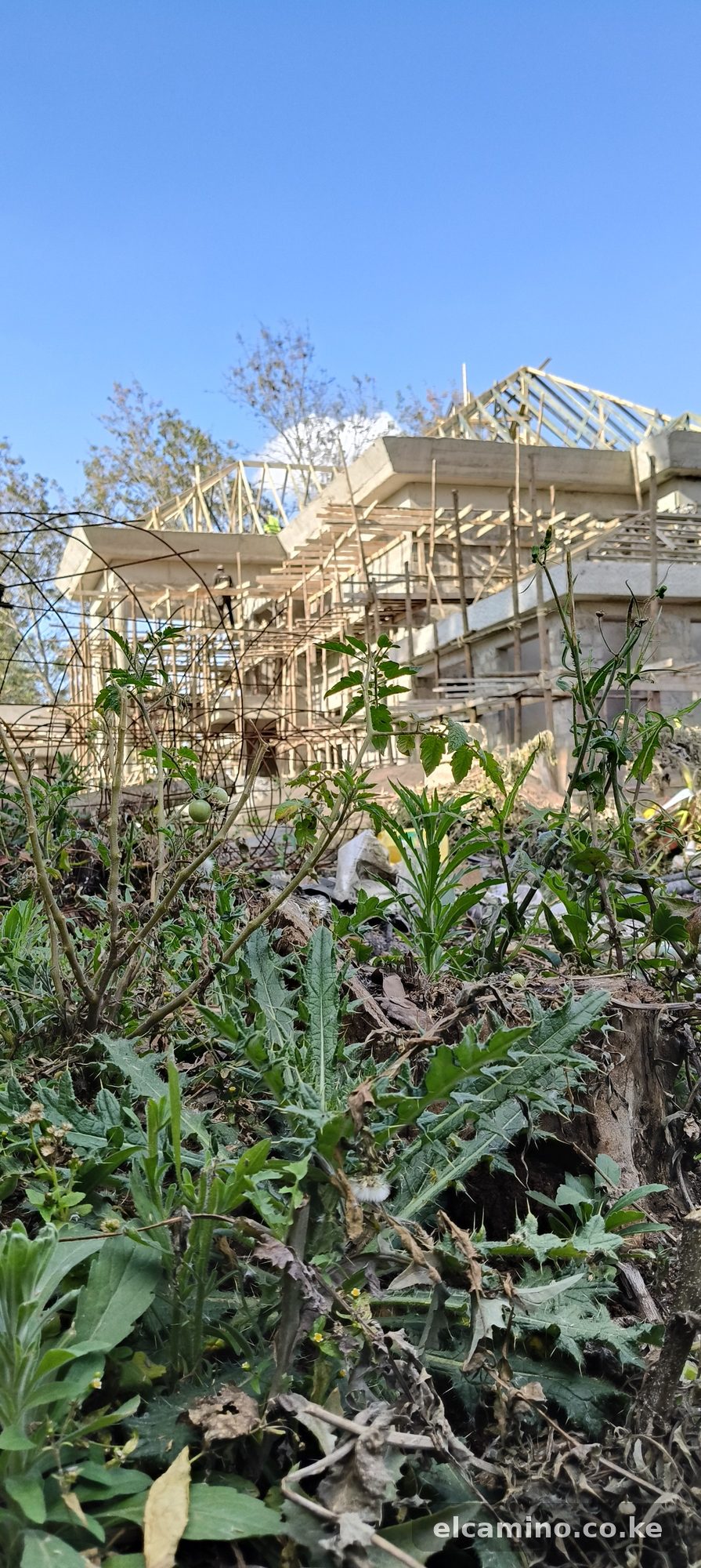 Karen Mansion - Project photo